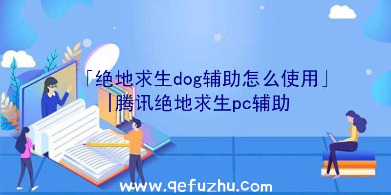 「绝地求生dog辅助怎么使用」|腾讯绝地求生pc辅助